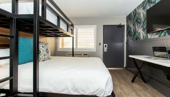 Magnolia Tree Hotel